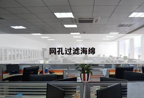 網(wǎng)孔過濾海綿