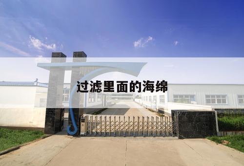 過濾里面的海綿