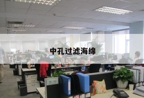 中孔過(guò)濾海綿