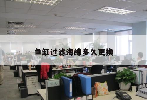 魚缸過濾海綿多久更換