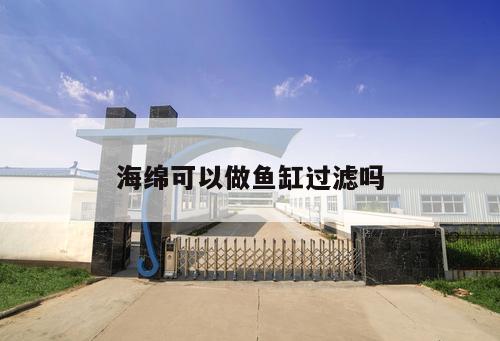 海綿可以做魚(yú)缸過(guò)濾嗎