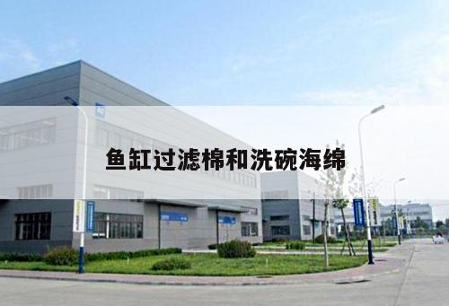 魚(yú)缸過(guò)濾棉和洗碗海綿