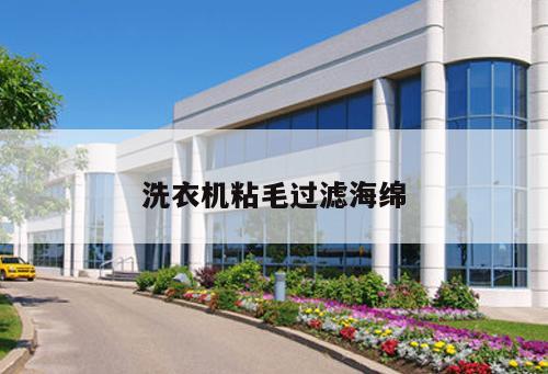 洗衣機(jī)粘毛過(guò)濾海綿